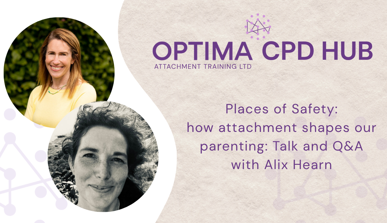 Places of Safety - Alix Hearn